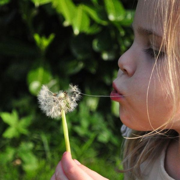 Kind bläst auf eine Pusteblume