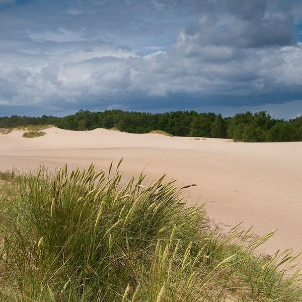 Dünenlandschaft mit Gras, Wolken und dunklem Himmel